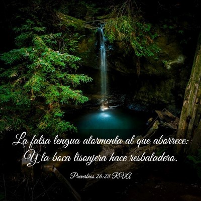 Picture 03 - Proverbios 26:28 RVA - La falsa lengua atormenta al que aborrece: Y la - Bible Verse Picture