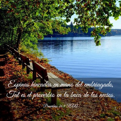 Picture 03 - Proverbios 26:9 RVA - Espinas hincadas en mano del embriagado, Tal es - Bible Verse Picture