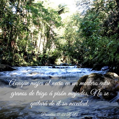 Picture 03 - Proverbios 27:22 RVA - Aunque majes al necio en un mortero entre granos - Bible Verse Picture