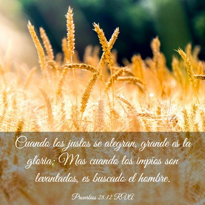 Picture 03 - Proverbios 28:12 RVA - Cuando los justos se alegran, grande es la - Bible Verse Picture