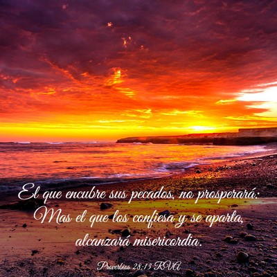 Picture 03 - Proverbios 28:13 RVA - El que encubre sus pecados, no prosperará: Mas - Bible Verse Picture