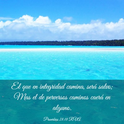 Picture 03 - Proverbios 28:18 RVA - El que en integridad camina, será salvo; Mas el - Bible Verse Picture