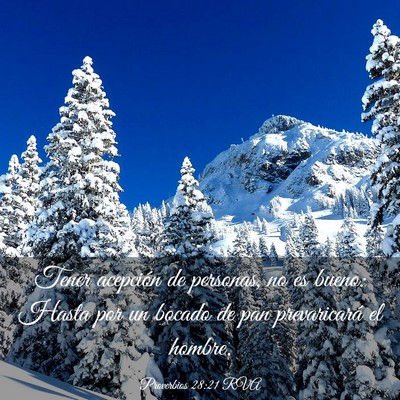 Picture 03 - Proverbios 28:21 RVA - Tener acepción de personas, no es bueno: Hasta - Bible Verse Picture