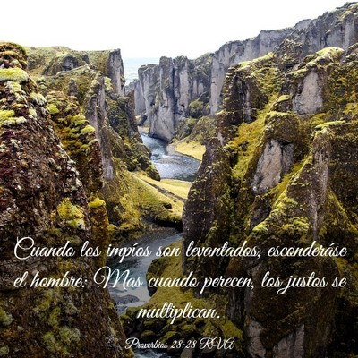 Picture 03 - Proverbios 28:28 RVA - Cuando los impíos son levantados, esconderáse - Bible Verse Picture