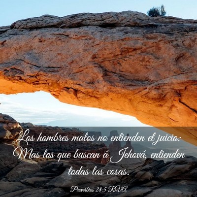 Picture 03 - Proverbios 28:5 RVA - Los hombres malos no entienden el juicio: Mas los - Bible Verse Picture