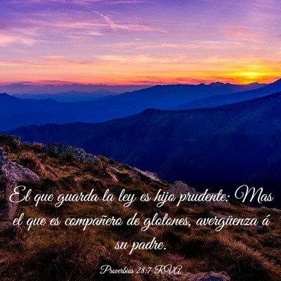 Picture 03 - Proverbios 28:7 RVA - El que guarda la ley es hijo prudente: Mas el que - Bible Verse Picture