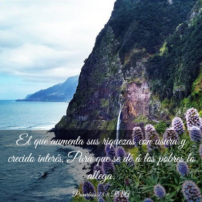 Picture 03 - Proverbios 28:8 RVA - El que aumenta sus riquezas con usura y crecido - Bible Verse Picture