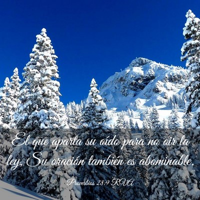 Picture 03 - Proverbios 28:9 RVA - El que aparta su oído para no oir la ley, Su - Bible Verse Picture
