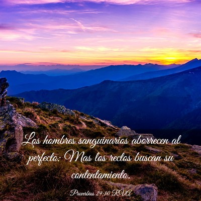 Picture 03 - Proverbios 29:10 RVA - Los hombres sanguinarios aborrecen al perfecto: - Bible Verse Picture