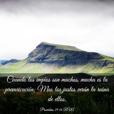Picture 03 - Proverbios 29:16 RVA - Cuando los impíos son muchos, mucha es la - Bible Verse Picture