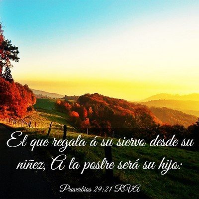 Picture 03 - Proverbios 29:21 RVA - El que regala á su siervo desde su niñez, A la - Bible Verse Picture