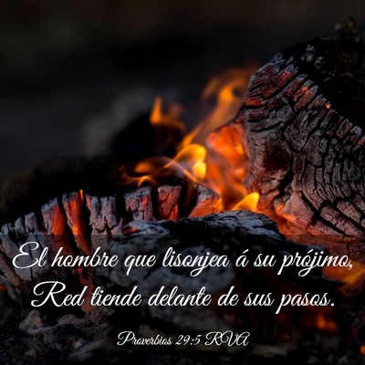 Picture 03 - Proverbios 29:5 RVA - El hombre que lisonjea á su prójimo, Red tiende - Bible Verse Picture