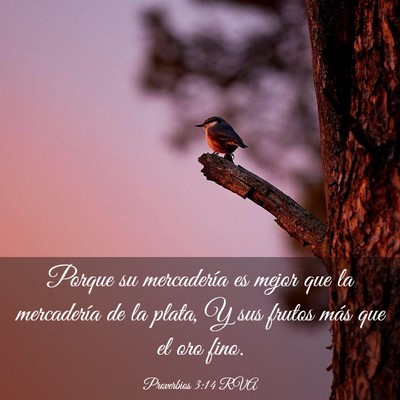 Picture 03 - Proverbios 3:14 RVA - Porque su mercadería es mejor que la mercadería - Bible Verse Picture