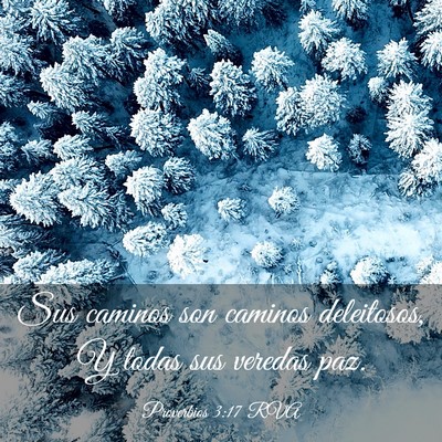 Picture 03 - Proverbios 3:17 RVA - Sus caminos son caminos deleitosos, Y todas sus - Bible Verse Picture