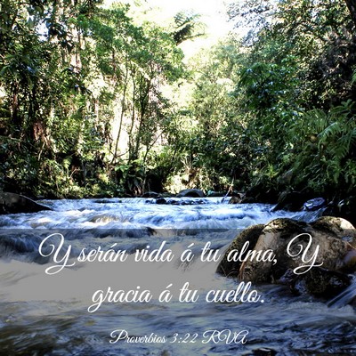 Picture 03 - Proverbios 3:22 RVA - Y serán vida á tu alma, Y gracia á tu - Bible Verse Picture