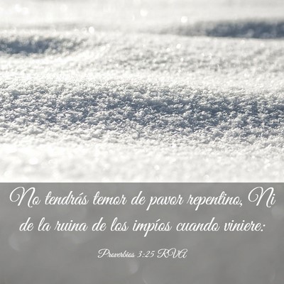 Picture 03 - Proverbios 3:25 RVA - No tendrás temor de pavor repentino, Ni de la - Bible Verse Picture