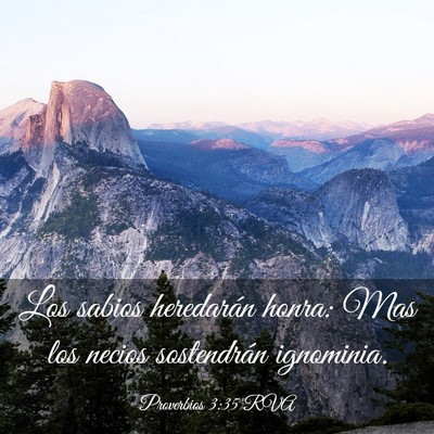 Picture 03 - Proverbios 3:35 RVA - Los sabios heredarán honra: Mas los necios - Bible Verse Picture