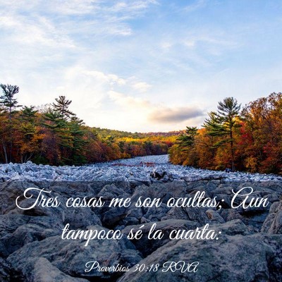 Picture 03 - Proverbios 30:18 RVA - Tres cosas me son ocultas; Aun tampoco sé la - Bible Verse Picture