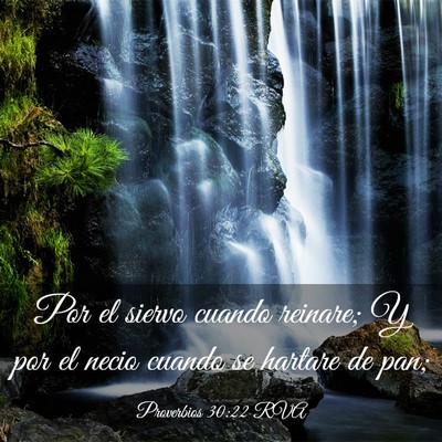 Picture 03 - Proverbios 30:22 RVA - Por el siervo cuando reinare; Y por el necio - Bible Verse Picture