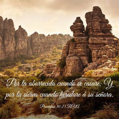 Picture 03 - Proverbios 30:23 RVA - Por la aborrecida cuando se casare; Y por la - Bible Verse Picture