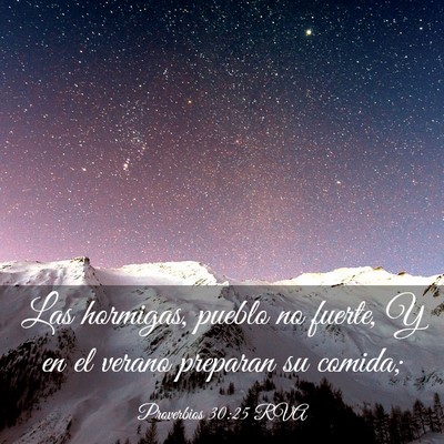 Picture 03 - Proverbios 30:25 RVA - Las hormigas, pueblo no fuerte, Y en el verano - Bible Verse Picture