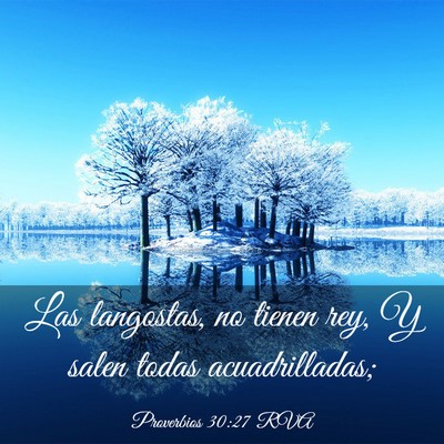 Picture 03 - Proverbios 30:27 RVA - Las langostas, no tienen rey, Y salen todas - Bible Verse Picture