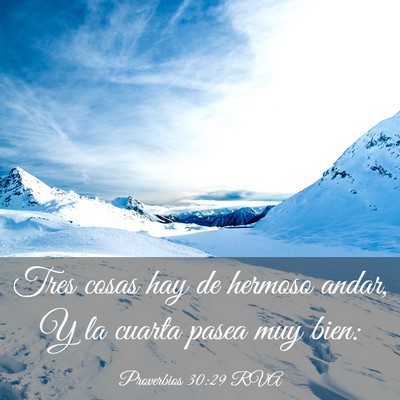 Picture 03 - Proverbios 30:29 RVA - Tres cosas hay de hermoso andar, Y la cuarta - Bible Verse Picture