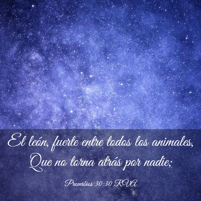 Picture 03 - Proverbios 30:30 RVA - El león, fuerte entre todos los animales, Que no - Bible Verse Picture