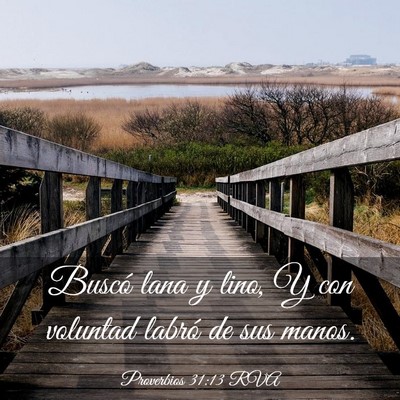 Picture 03 - Proverbios 31:13 RVA - Buscó lana y lino, Y con voluntad labró de sus - Bible Verse Picture