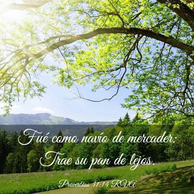 Picture 03 - Proverbios 31:14 RVA - Fué como navío de mercader: Trae su pan de - Bible Verse Picture