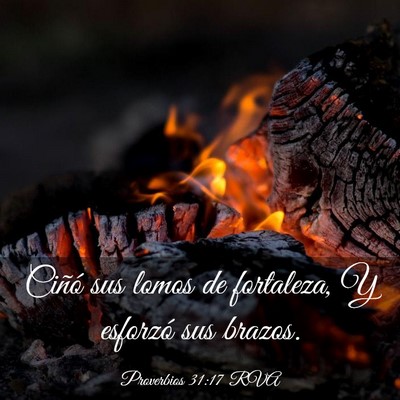 Picture 03 - Proverbios 31:17 RVA - Ciñó sus lomos de fortaleza, Y esforzó sus - Bible Verse Picture