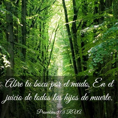 Picture 03 - Proverbios 31:8 RVA - Abre tu boca por el mudo, En el juicio de todos - Bible Verse Picture