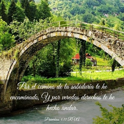 Picture 03 - Proverbios 4:11 RVA - Por el camino de la sabiduría te he encaminado, - Bible Verse Picture