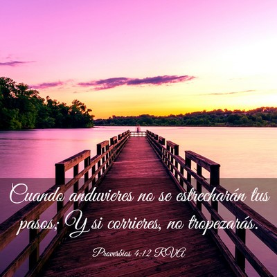 Picture 03 - Proverbios 4:12 RVA - Cuando anduvieres no se estrecharán tus pasos; Y - Bible Verse Picture
