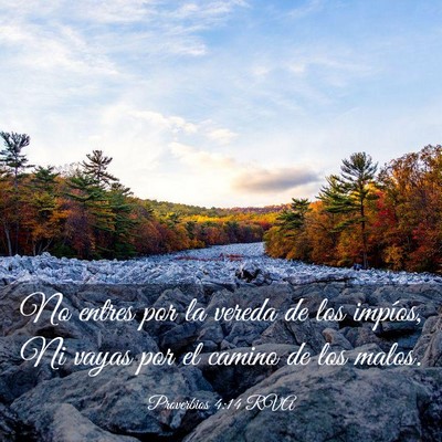 Picture 03 - Proverbios 4:14 RVA - No entres por la vereda de los impíos, Ni vayas - Bible Verse Picture