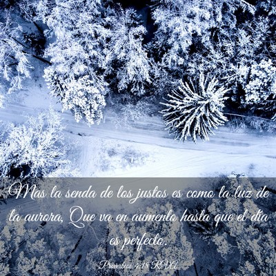 Picture 03 - Proverbios 4:18 RVA - Mas la senda de los justos es como la luz de la - Bible Verse Picture