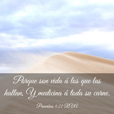 Picture 03 - Proverbios 4:22 RVA - Porque son vida á los que las hallan, Y medicina - Bible Verse Picture