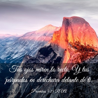 Picture 03 - Proverbios 4:25 RVA - Tus ojos miren lo recto, Y tus párpados en - Bible Verse Picture