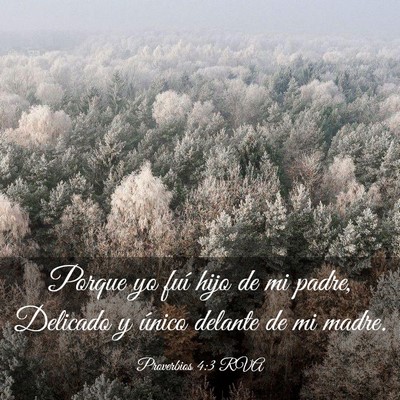 Picture 03 - Proverbios 4:3 RVA - Porque yo fuí hijo de mi padre, Delicado y - Bible Verse Picture