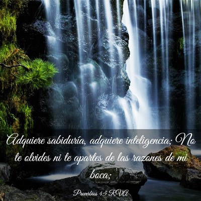 Picture 03 - Proverbios 4:5 RVA - Adquiere sabiduría, adquiere inteligencia; No te - Bible Verse Picture