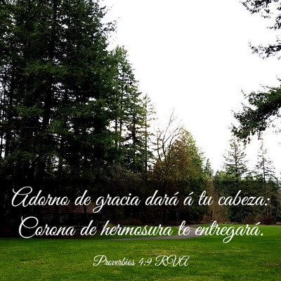 Picture 03 - Proverbios 4:9 RVA - Adorno de gracia dará á tu cabeza: Corona de - Bible Verse Picture