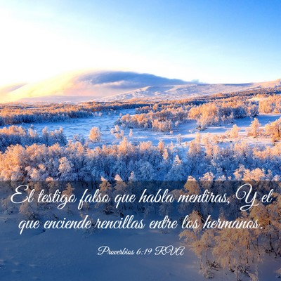 Picture 03 - Proverbios 6:19 RVA - El testigo falso que habla mentiras, Y el que - Bible Verse Picture