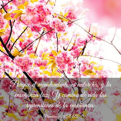Picture 03 - Proverbios 6:23 RVA - Porque el mandamiento es antorcha, y la - Bible Verse Picture
