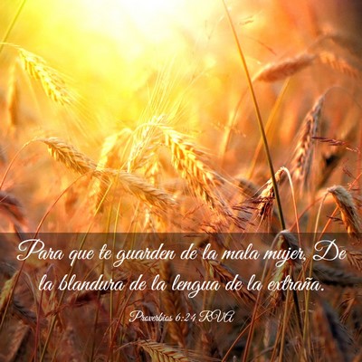 Picture 03 - Proverbios 6:24 RVA - Para que te guarden de la mala mujer, De la - Bible Verse Picture