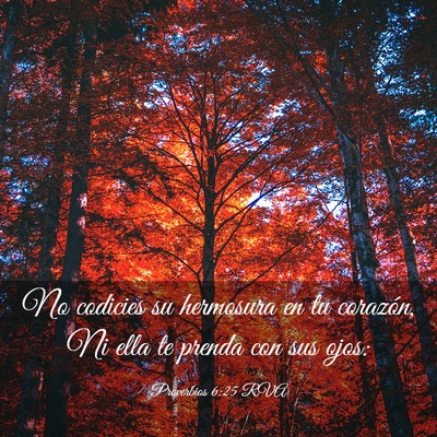 Picture 03 - Proverbios 6:25 RVA - No codicies su hermosura en tu corazón, Ni ella - Bible Verse Picture
