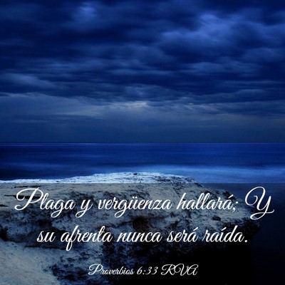 Picture 03 - Proverbios 6:33 RVA - Plaga y vergüenza hallará; Y su afrenta nunca - Bible Verse Picture