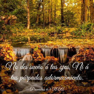 Picture 03 - Proverbios 6:4 RVA - No des sueño á tus ojos, Ni á tus párpados - Bible Verse Picture