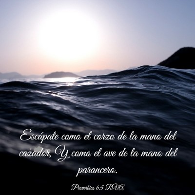 Picture 03 - Proverbios 6:5 RVA - Escápate como el corzo de la mano del cazador, Y - Bible Verse Picture