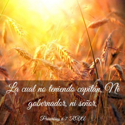 Picture 03 - Proverbios 6:7 RVA - La cual no teniendo capitán, Ni gobernador, ni - Bible Verse Picture