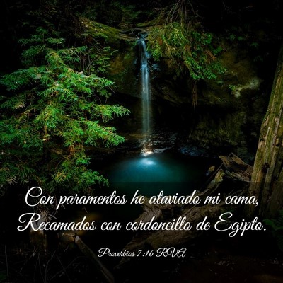 Picture 03 - Proverbios 7:16 RVA - Con paramentos he ataviado mi cama, Recamados con - Bible Verse Picture